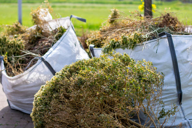 Best Appliance Removal Near Me  in Cane Savannah, SC